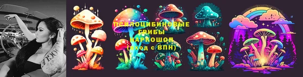 ГАЛЛЮЦИНОГЕННЫЕ ГРИБЫ Мегион