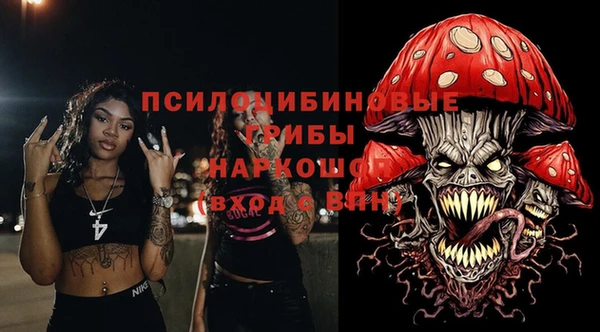 дмт Медногорск