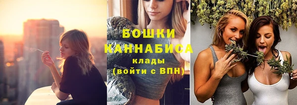 дмт Медногорск