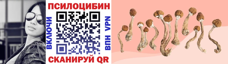 Галлюциногенные грибы ЛСД  Купить где  Оха 